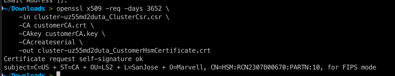 image-20260226144903030