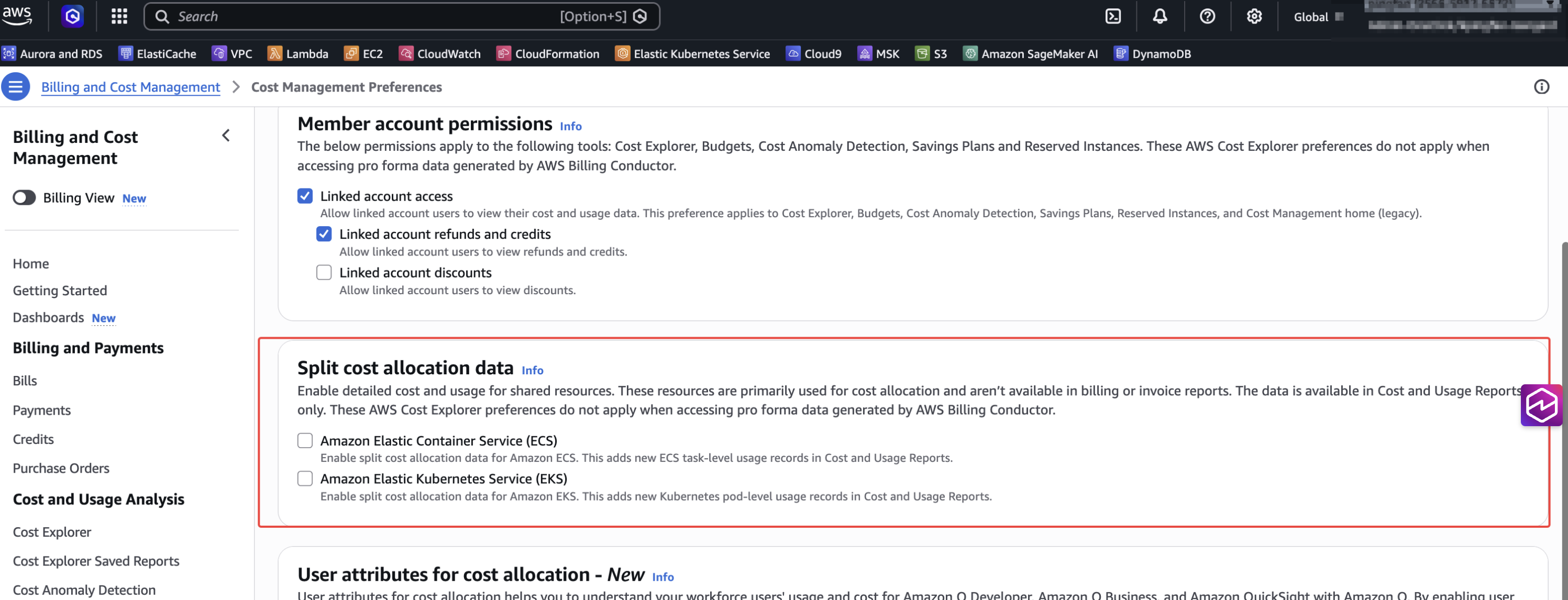 image-20260125200953452