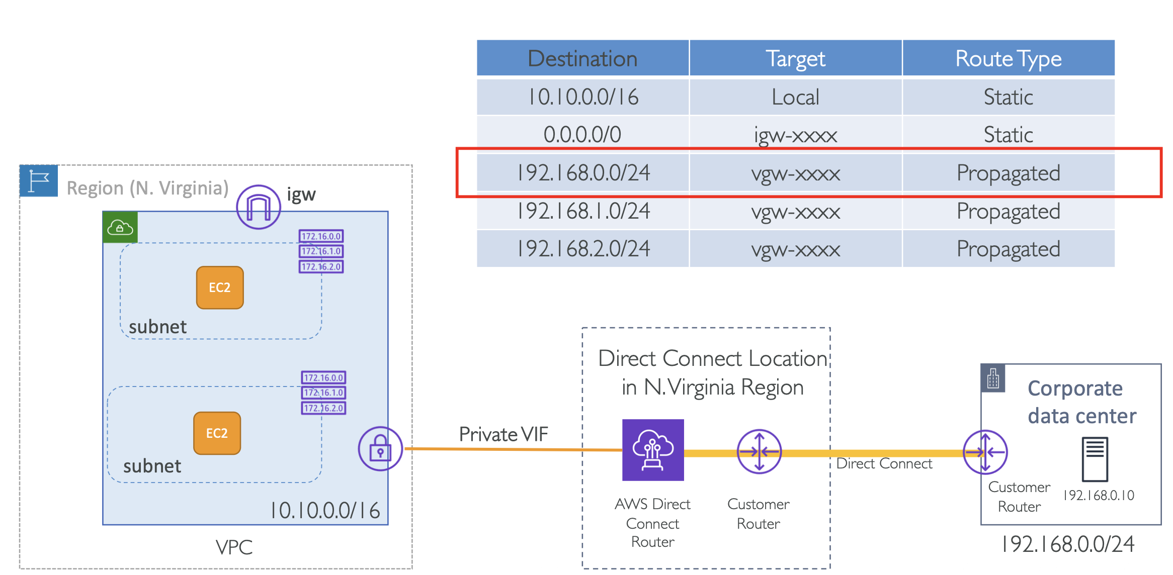 image-20260223100254572