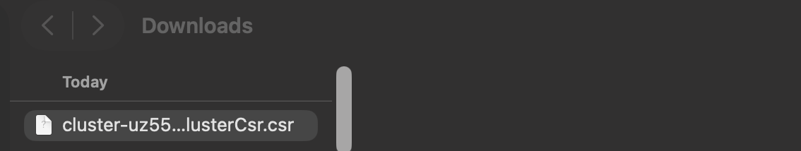 image-20260226144406498