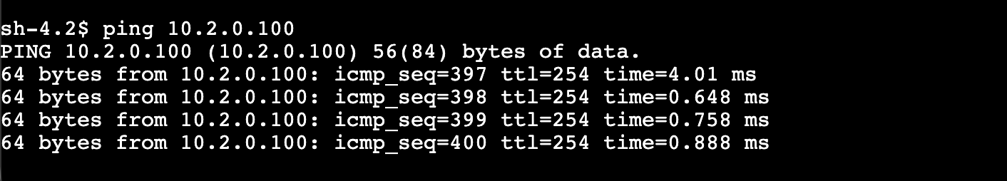 image-20260315171145353