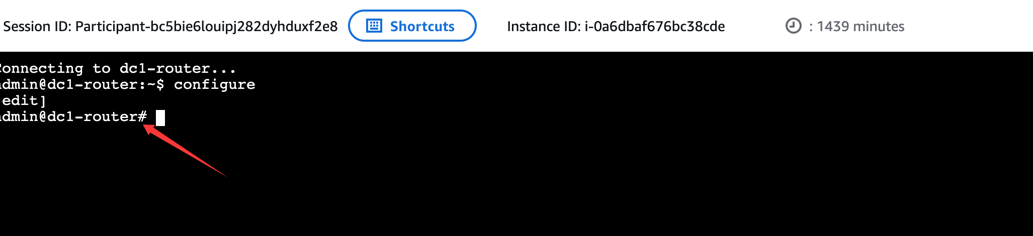 image-20260311131505735